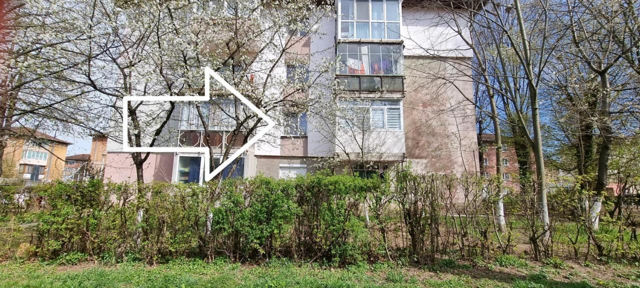 Studio Vale Hunedoara Exterior photo