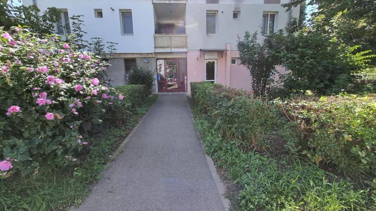 Studio Vale Hunedoara Exterior photo